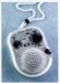 Shower Radio